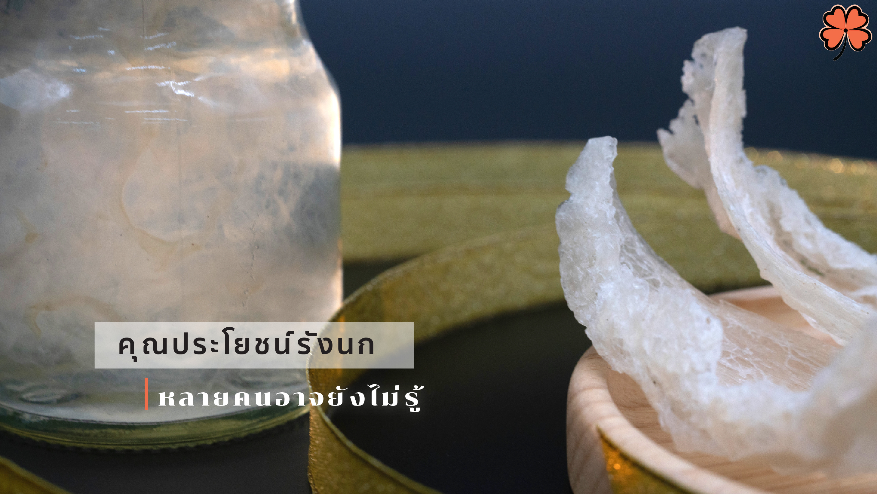 คุณประโยชน์รังนกหลายคนอาจยังไม่รู้