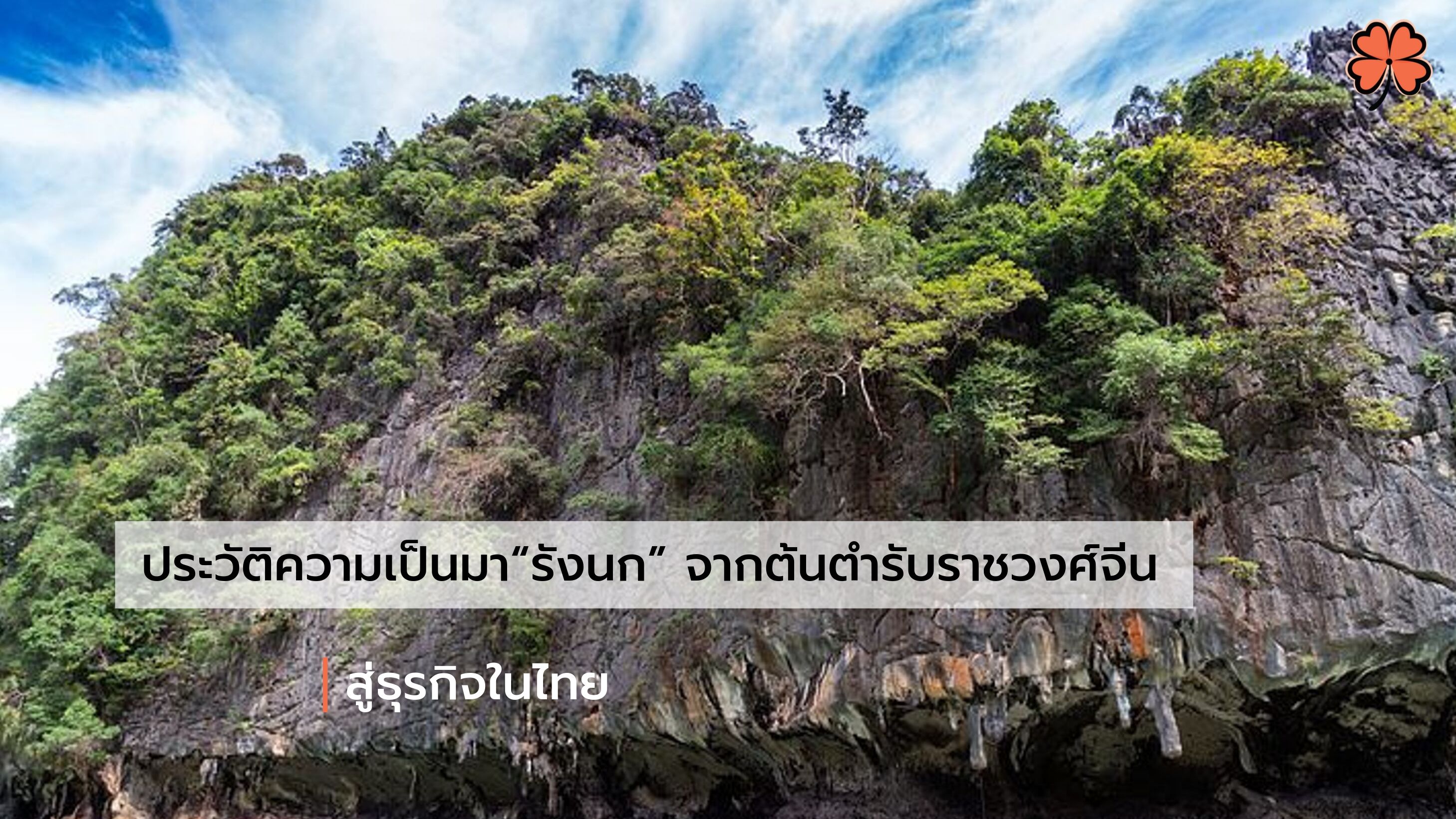 ประวัติความเป็นมา รังนก จากต้นตำรับราชวงศ์จีน สู่ธุรกิจในไทย