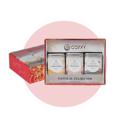 เซ็ตชาเบลนด์ 100% Natural 3 รสชาติ กล่องแดง Ruby เซ็ตชาเบลนด์ 100% Natural 3 รสชาติ กล่องแดง Ruby