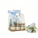 Blue & Bloom รังนกพรีเมี่ยม 4 ขวด ในกระเป๋าดอกไม้ประดิษฐ์