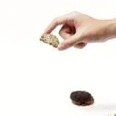 Cozxy Classic Cookie Bites Tin Box คุกกี้ธัญพืชกล่องโลหะ 280g - Cozxy | Health Thumbnail